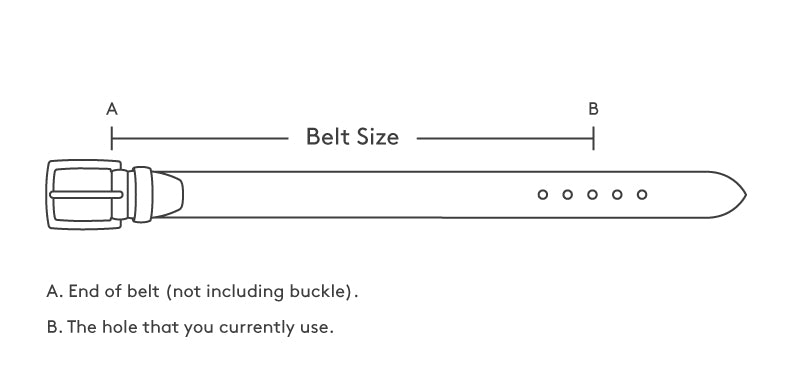 Everyday/Duty Belt