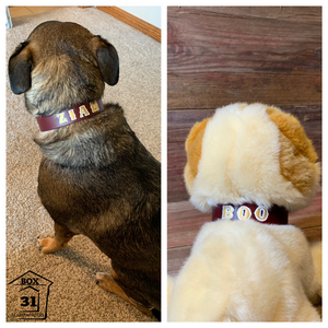 Custom Dog Collar